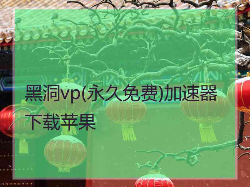 黑洞vp(永久免费)加速器下载苹果