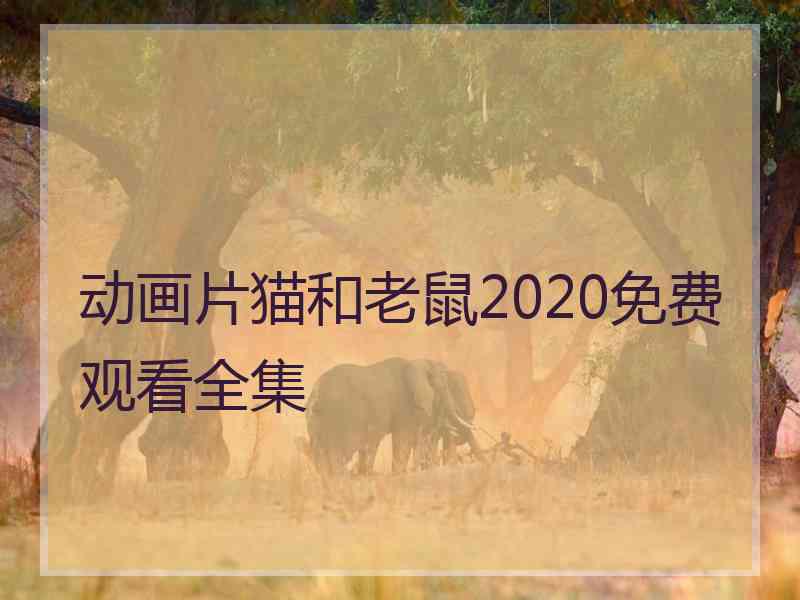 动画片猫和老鼠2020免费观看全集