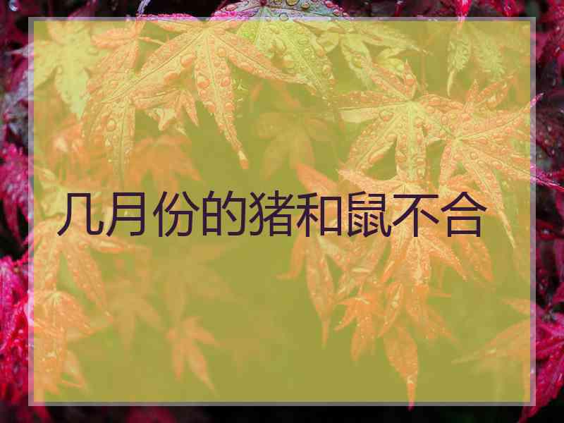 几月份的猪和鼠不合