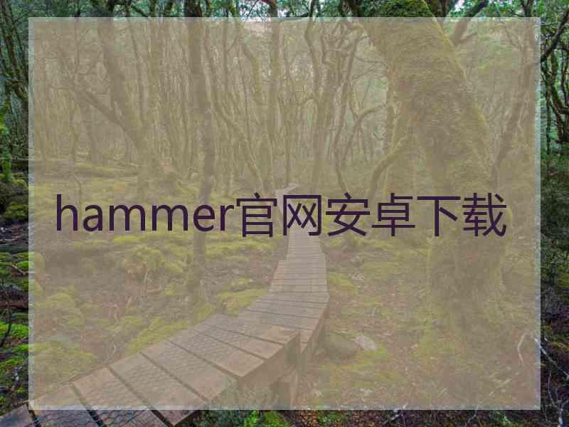 hammer官网安卓下载