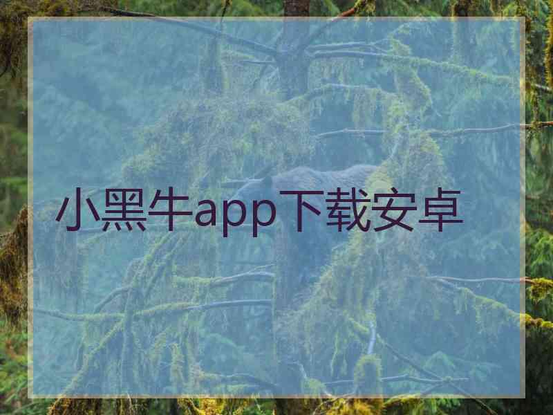 小黑牛app下载安卓