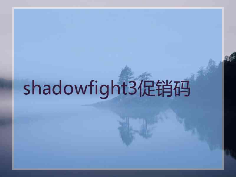 shadowfight3促销码