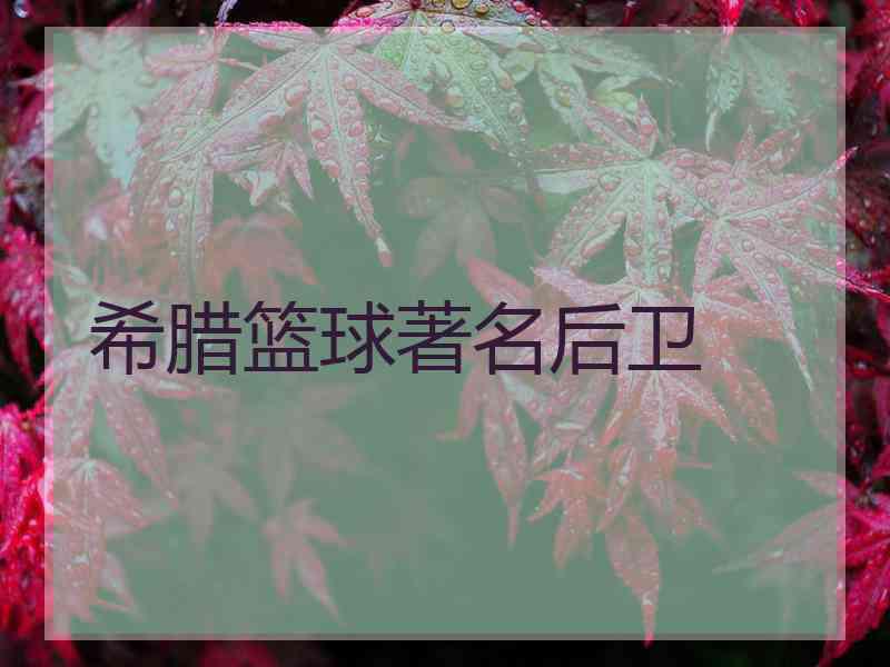 希腊篮球著名后卫