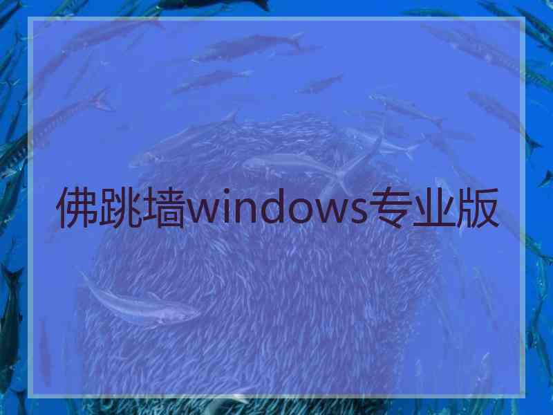 佛跳墙windows专业版