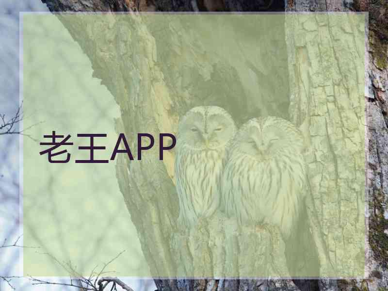 老王APP