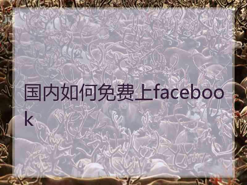 国内如何免费上facebook