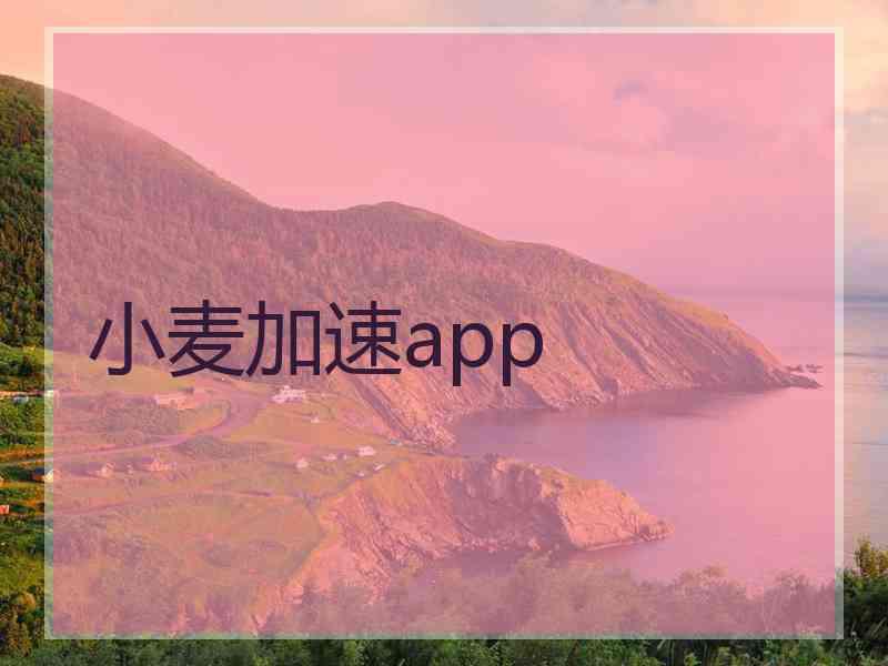 小麦加速app