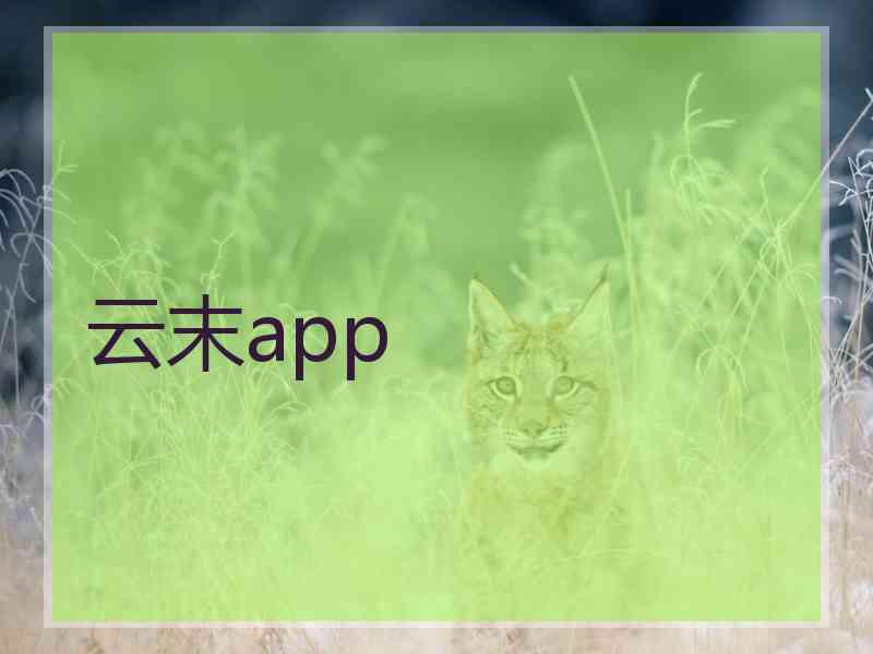 云末app