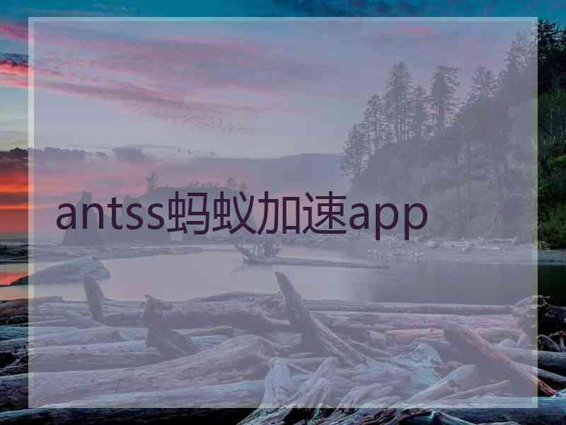 antss蚂蚁加速app