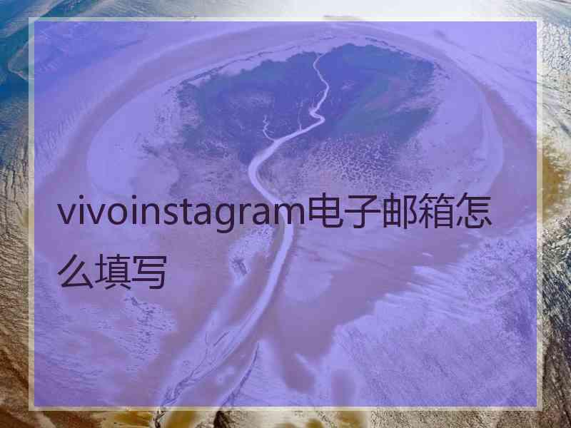 vivoinstagram电子邮箱怎么填写