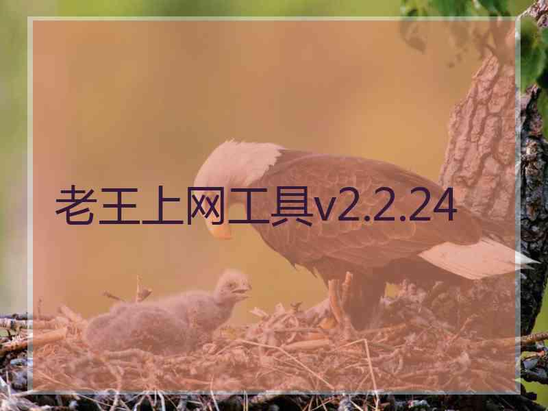 老王上网工具v2.2.24