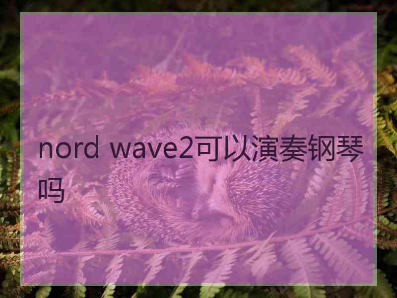 nord wave2可以演奏钢琴吗