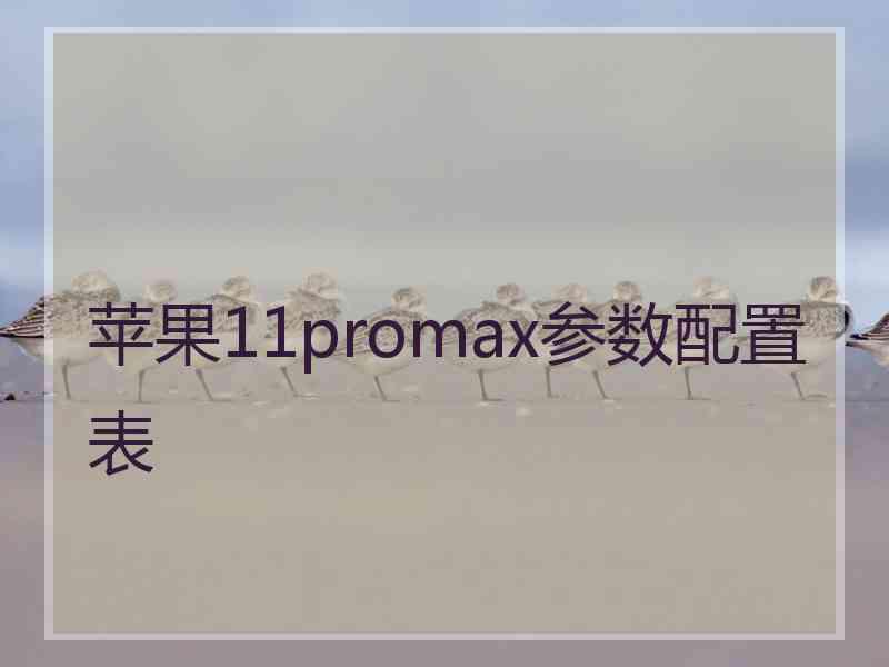 苹果11promax参数配置表