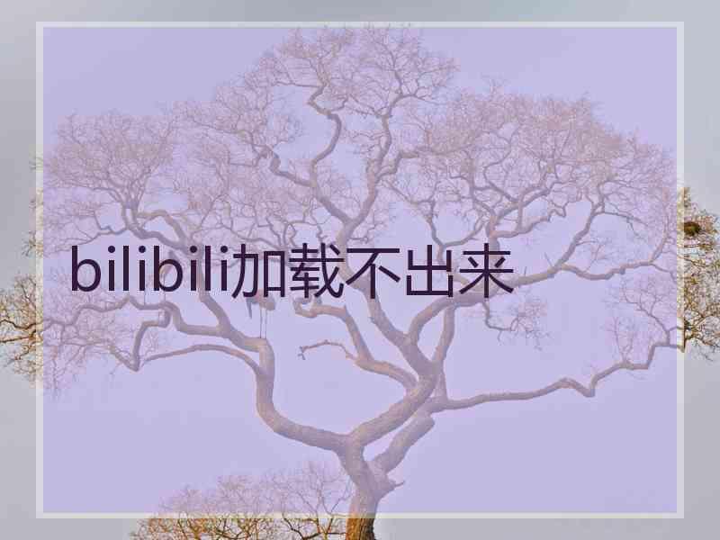 bilibili加载不出来