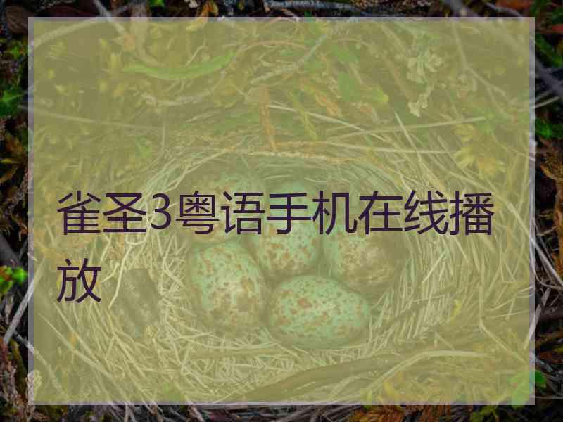 雀圣3粤语手机在线播放