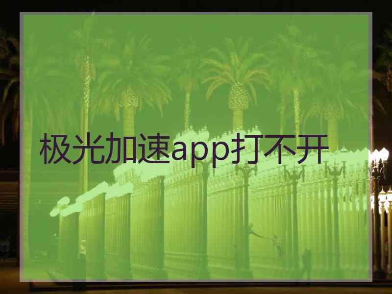 极光加速app打不开