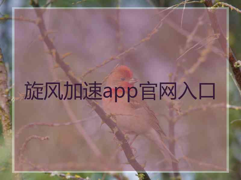 旋风加速app官网入口