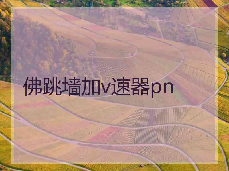 佛跳墙加v速器pn