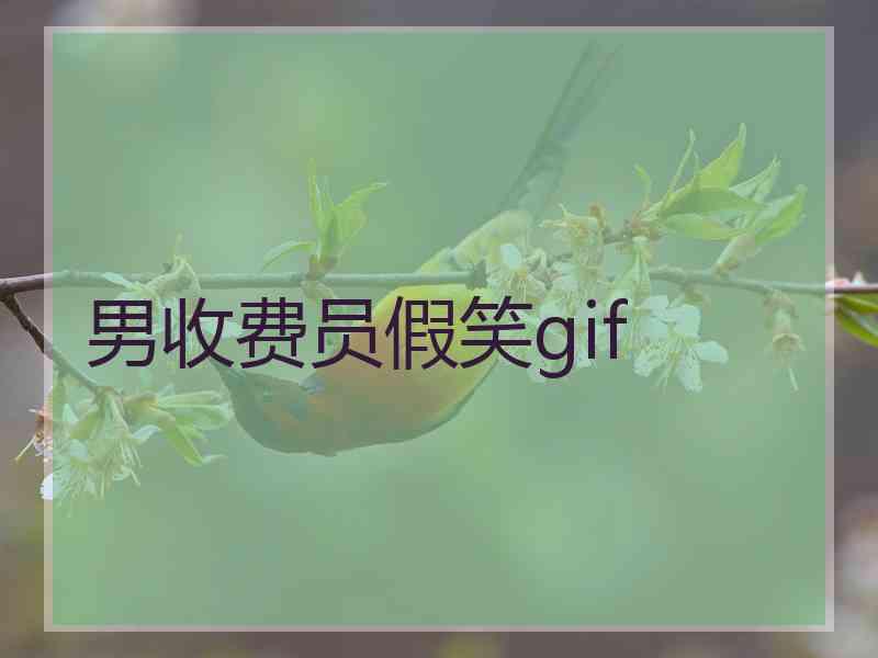 男收费员假笑gif