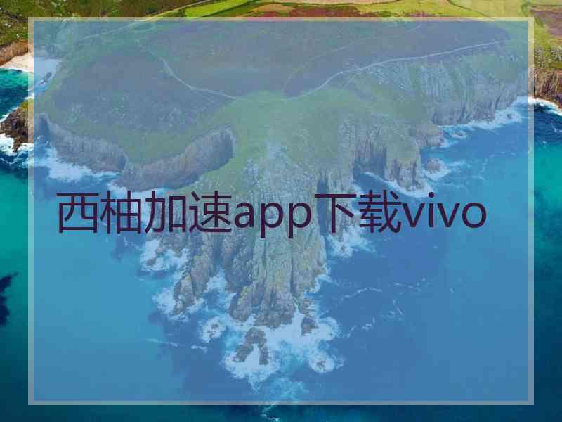 西柚加速app下载vivo