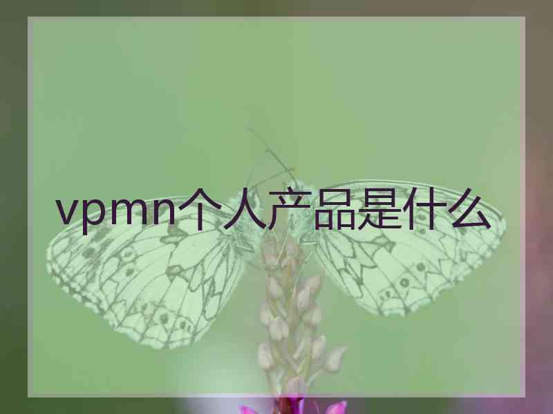 vpmn个人产品是什么