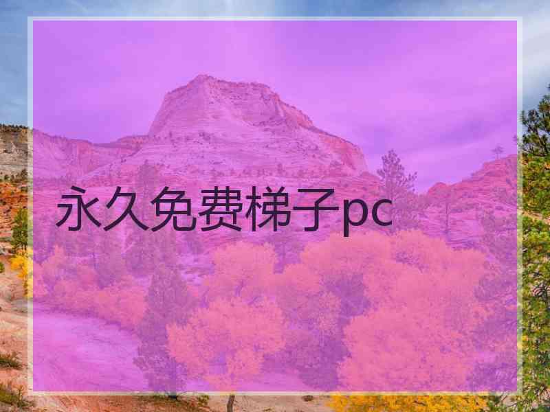 永久免费梯子pc