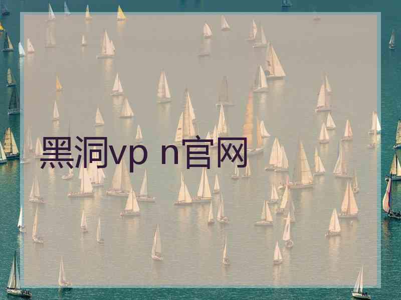 黑洞vp n官网