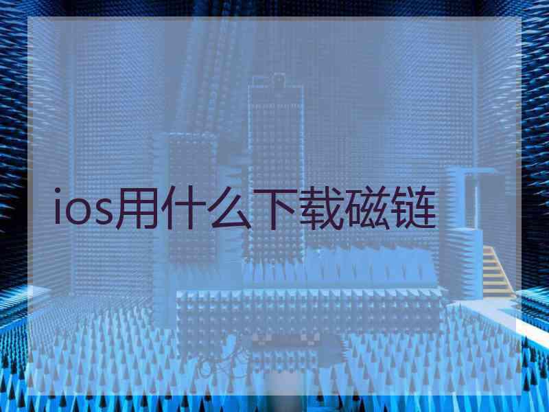 ios用什么下载磁链