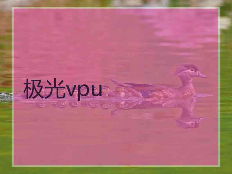 极光vpu