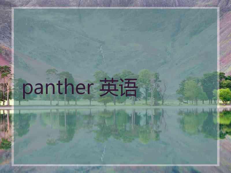 panther 英语