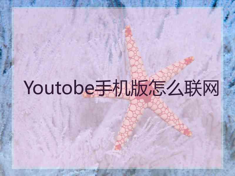 Youtobe手机版怎么联网