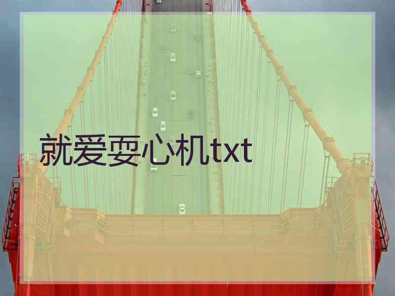 就爱耍心机txt