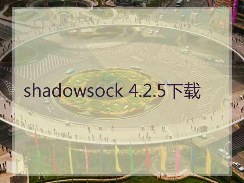 shadowsock 4.2.5下载