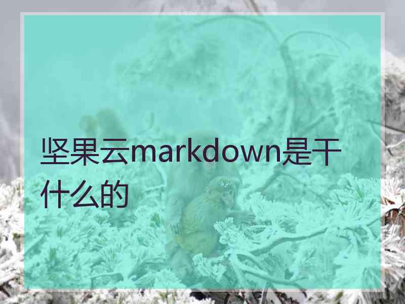 坚果云markdown是干什么的