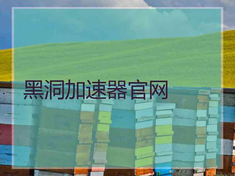 黑洞加速器官网