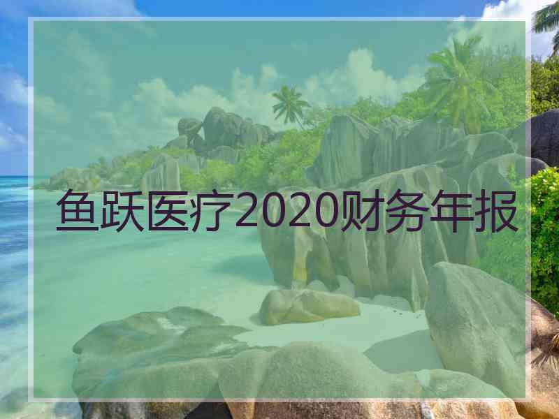 鱼跃医疗2020财务年报