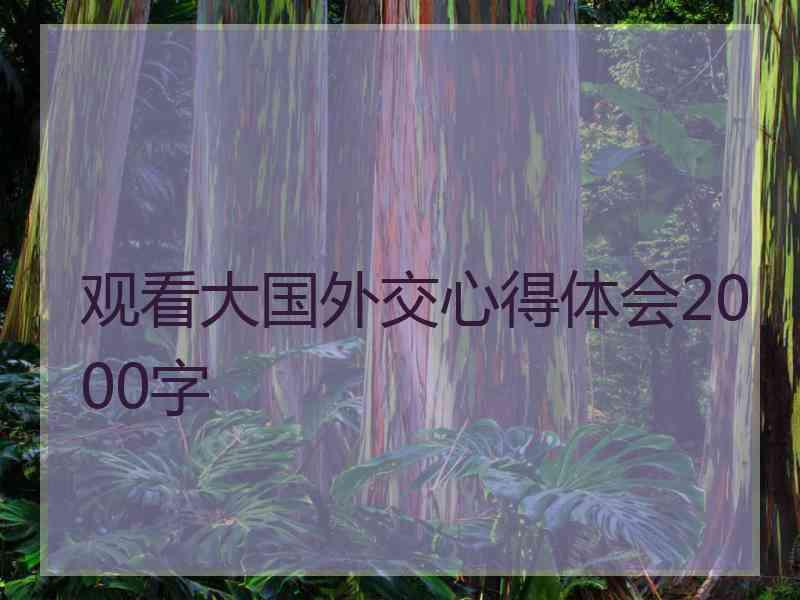 观看大国外交心得体会2000字