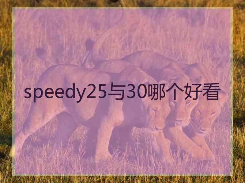 speedy25与30哪个好看