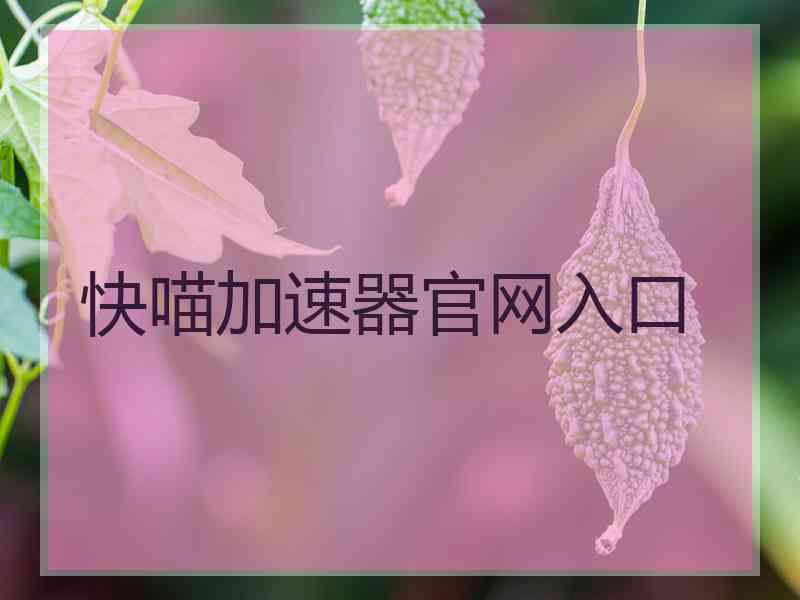 快喵加速器官网入口