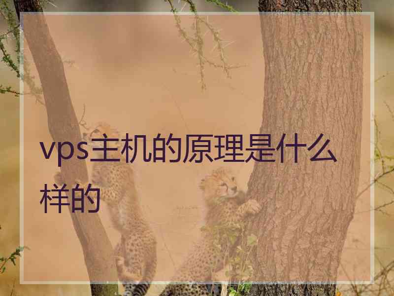 vps主机的原理是什么样的