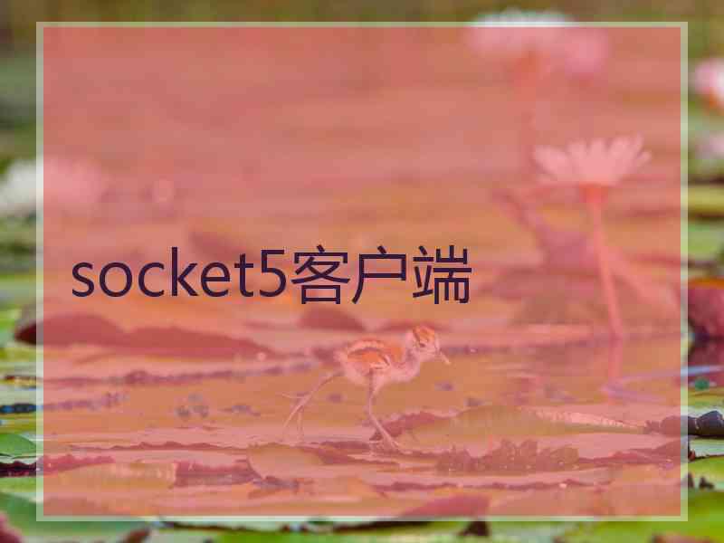 socket5客户端