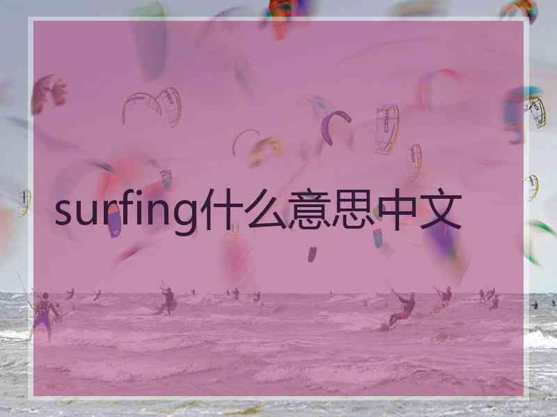 surfing什么意思中文