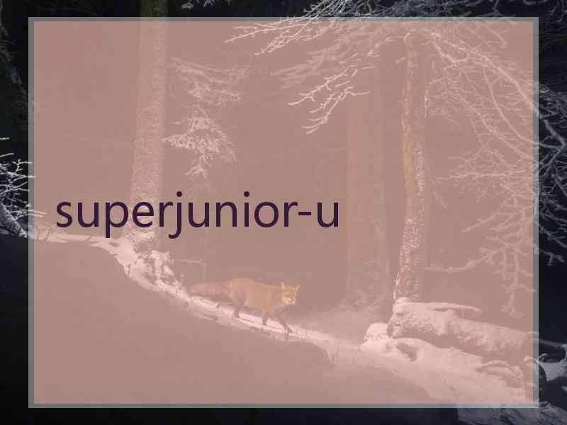 superjunior-u