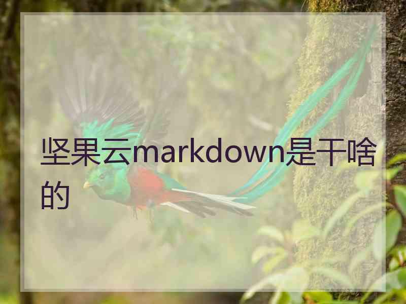 坚果云markdown是干啥的