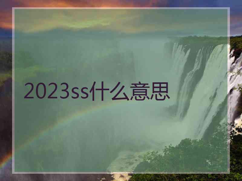 2023ss什么意思