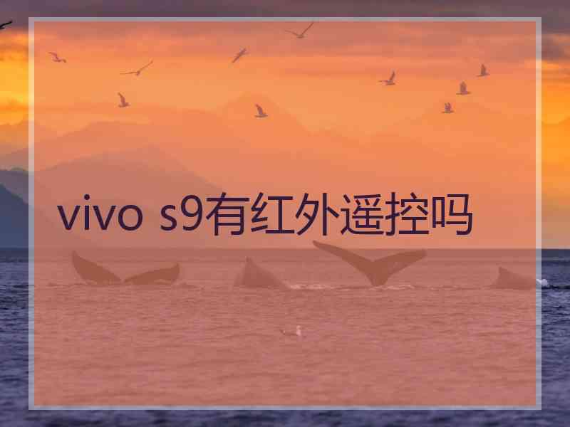 vivo s9有红外遥控吗