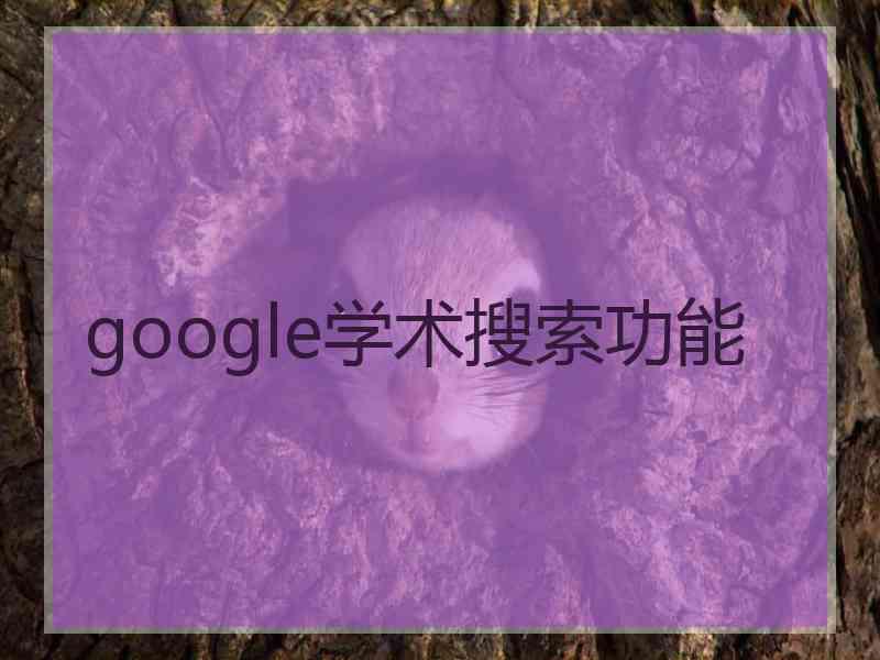 google学术搜索功能