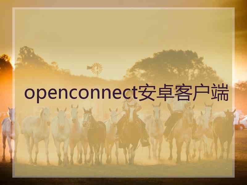 openconnect安卓客户端