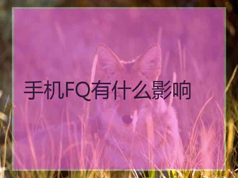 手机FQ有什么影响