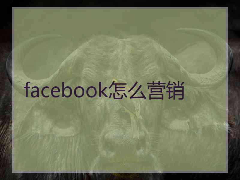 facebook怎么营销